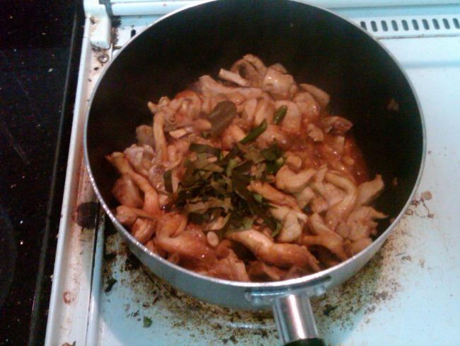 IMG00382-20100618-0101.jpg